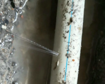 北流卫生间测漏水多少钱